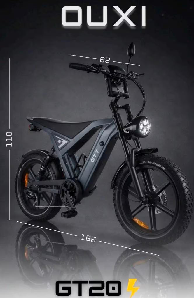 Bici Elettrica GT20 (Nera/Grigio)