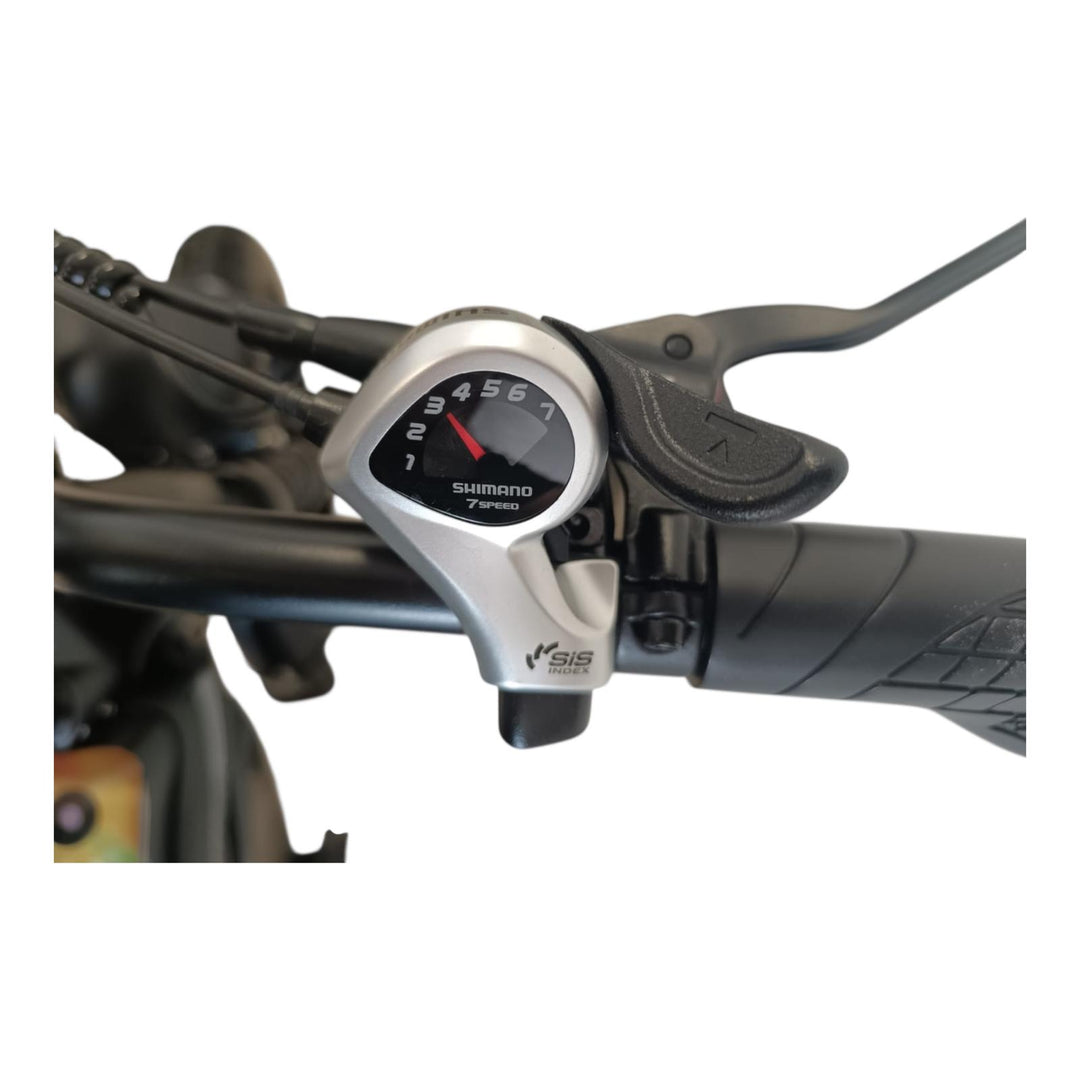 Bici Elettrica C80 (Nera)