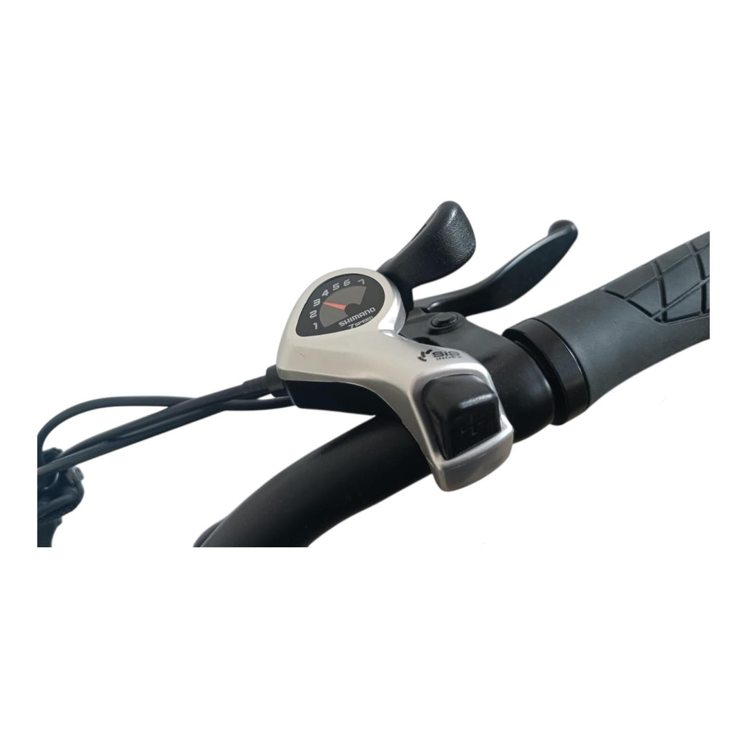 Bici Elettrica Wizy Gt (Blu)