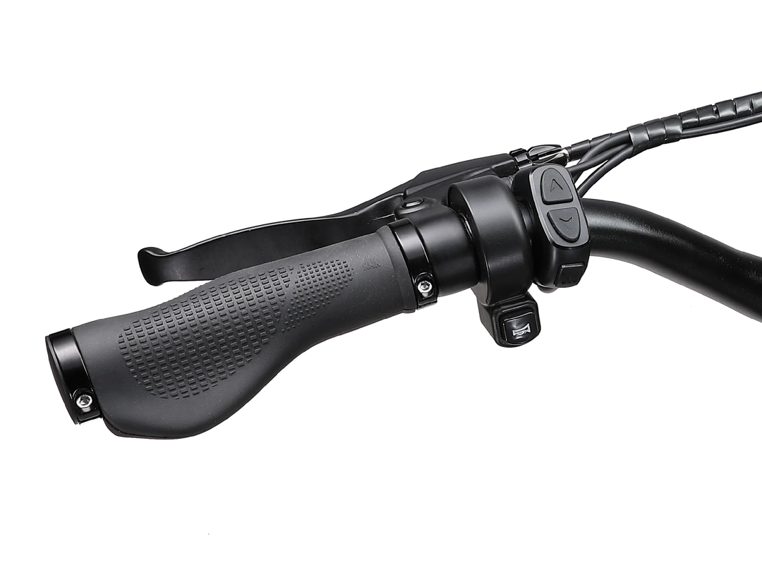 Bici Elettrica Ape Ryder A10 (Nera)