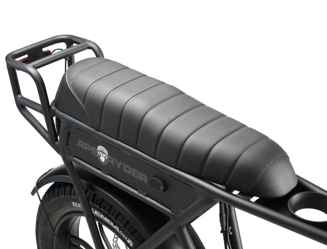 Bici Elettrica Ape Ryder A10 (Nera)