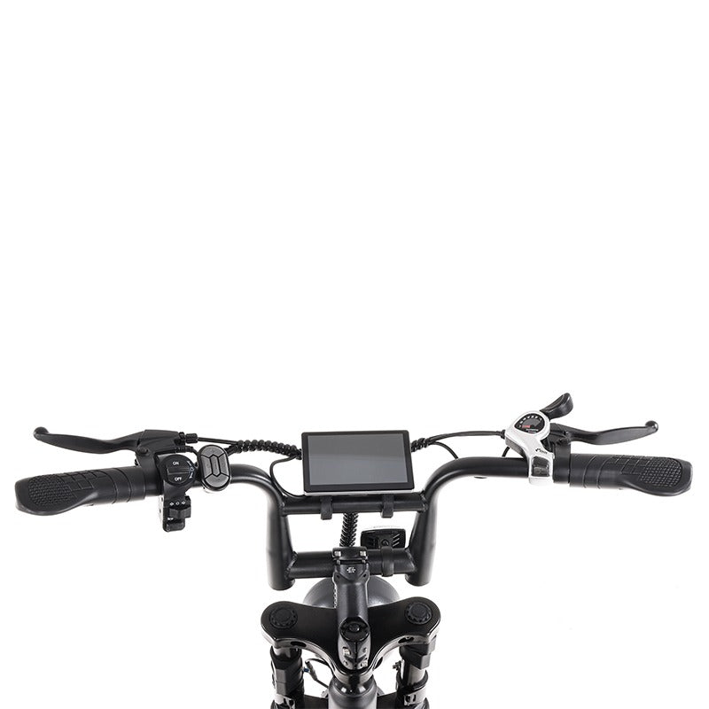 Bici Elettrica C80 (Nera)