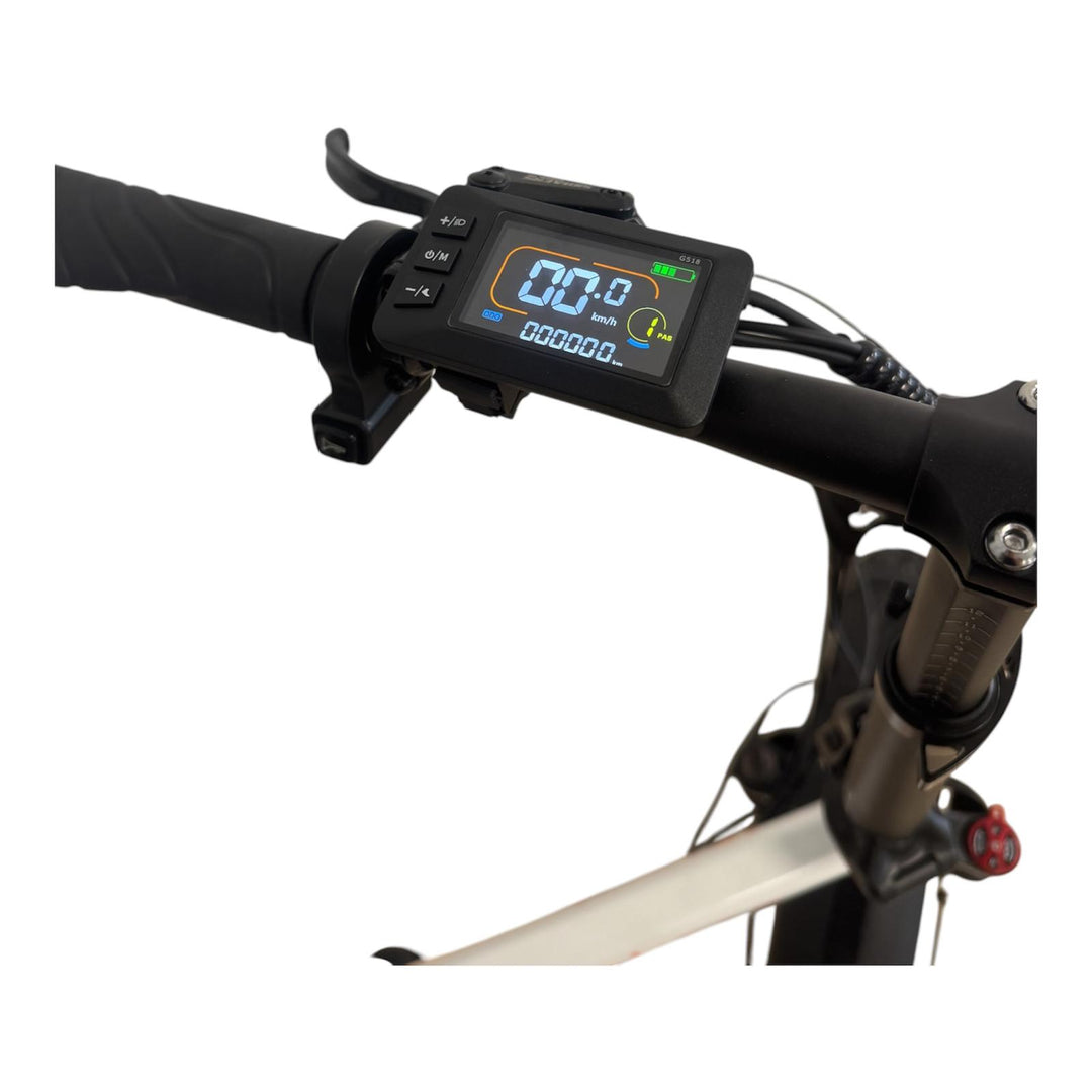Bici Elettrica Pieghevole Luckeep (Nera)