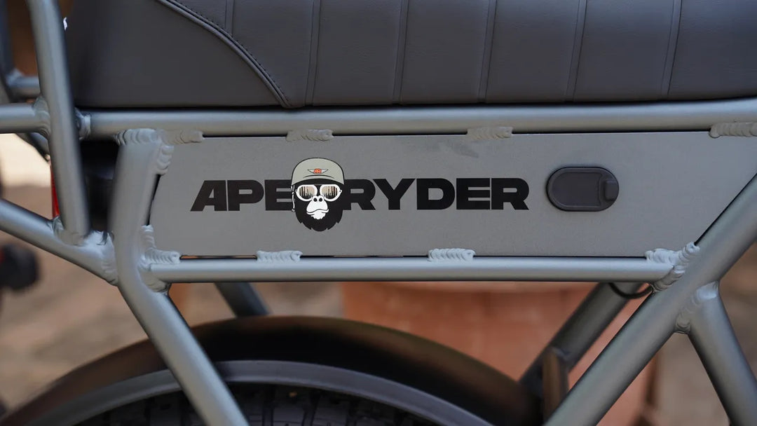 Bici Elettrica Ape Ryder A10 (Grigio)
