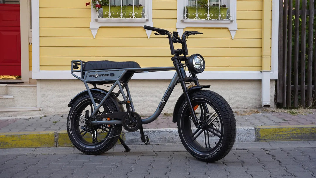 Bici Elettrica Ape Ryder A10 (Grigio)