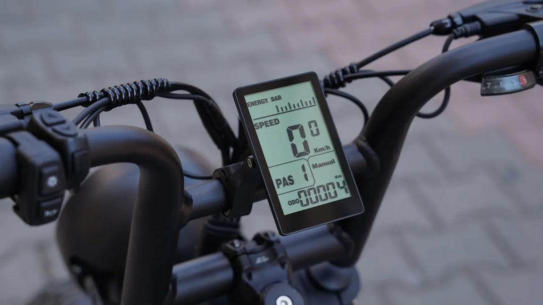 Bici Elettrica Ape Ryder A10 (Grigio)