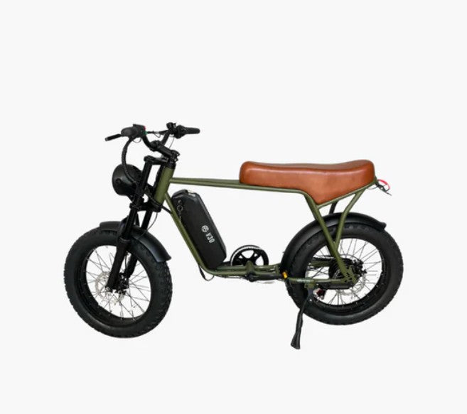 Bici Elettrica V30 (Verde)